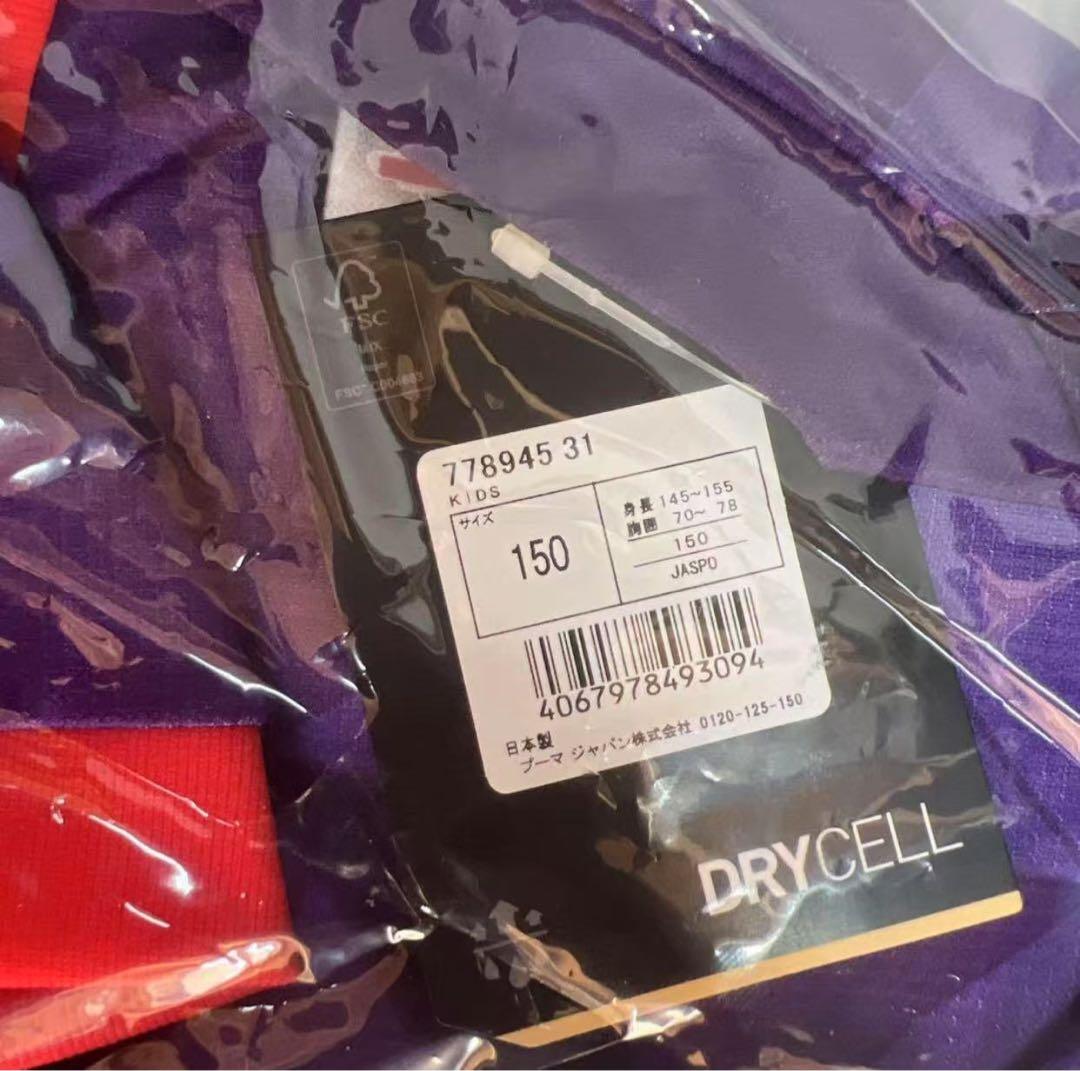 京都パープルサンガ 2024 キッズレプリカユニフォーム1st