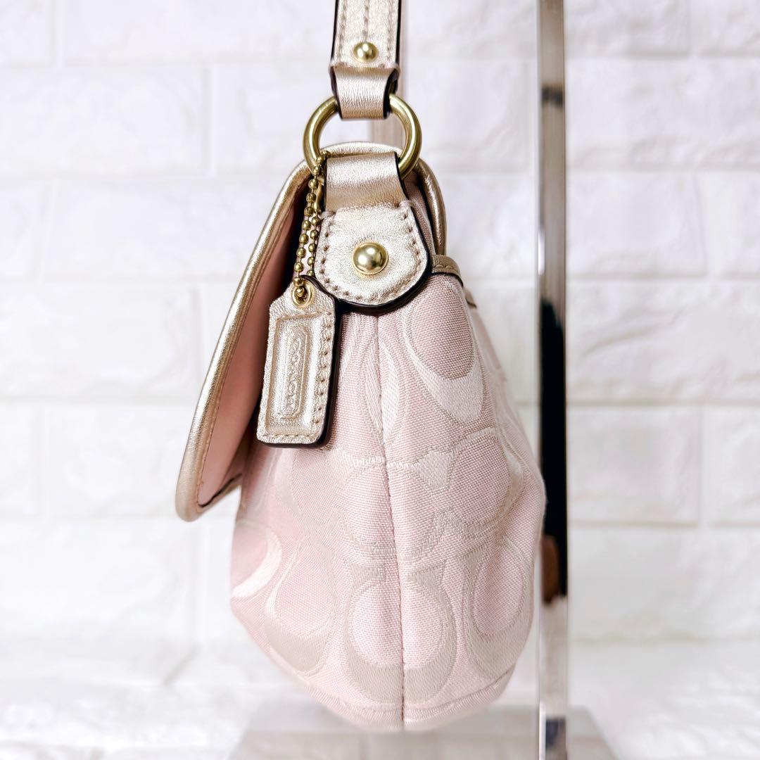 未使用✨COACH ワンショルダーバッグ アクセサリーポーチ シグネチャー