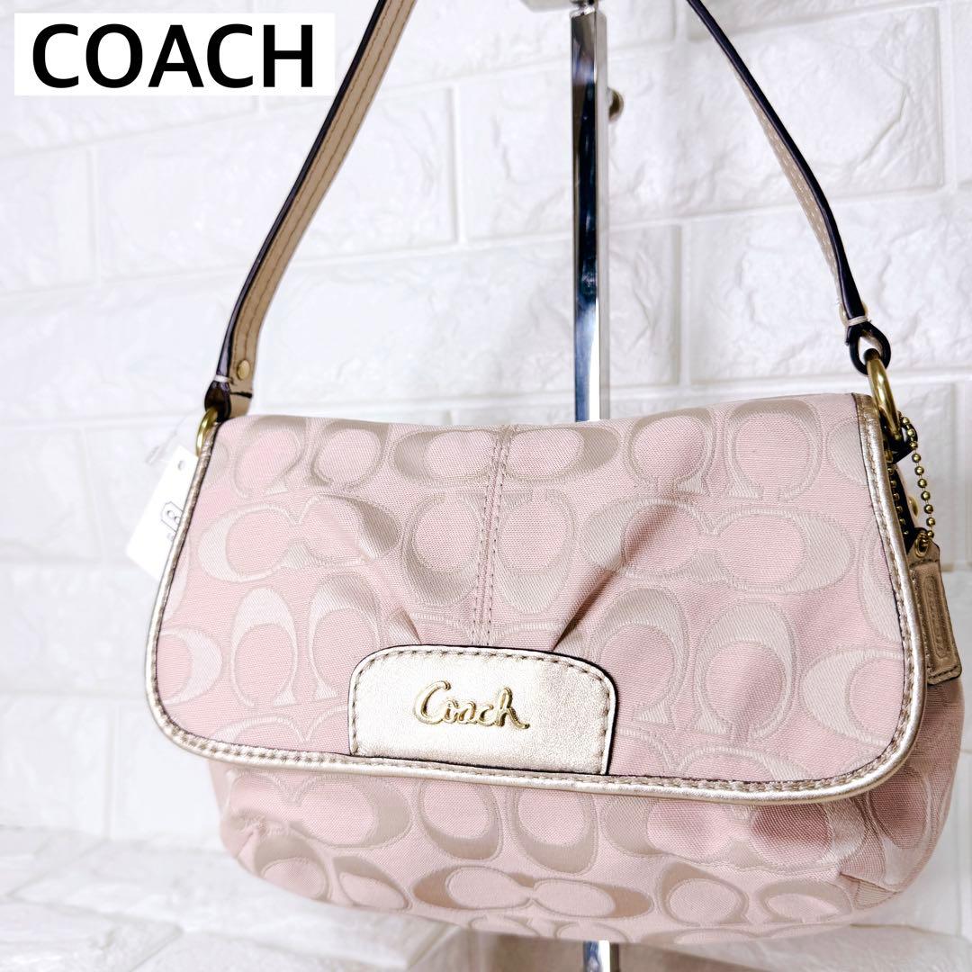 未使用✨COACH ワンショルダーバッグ アクセサリーポーチ シグネチャー