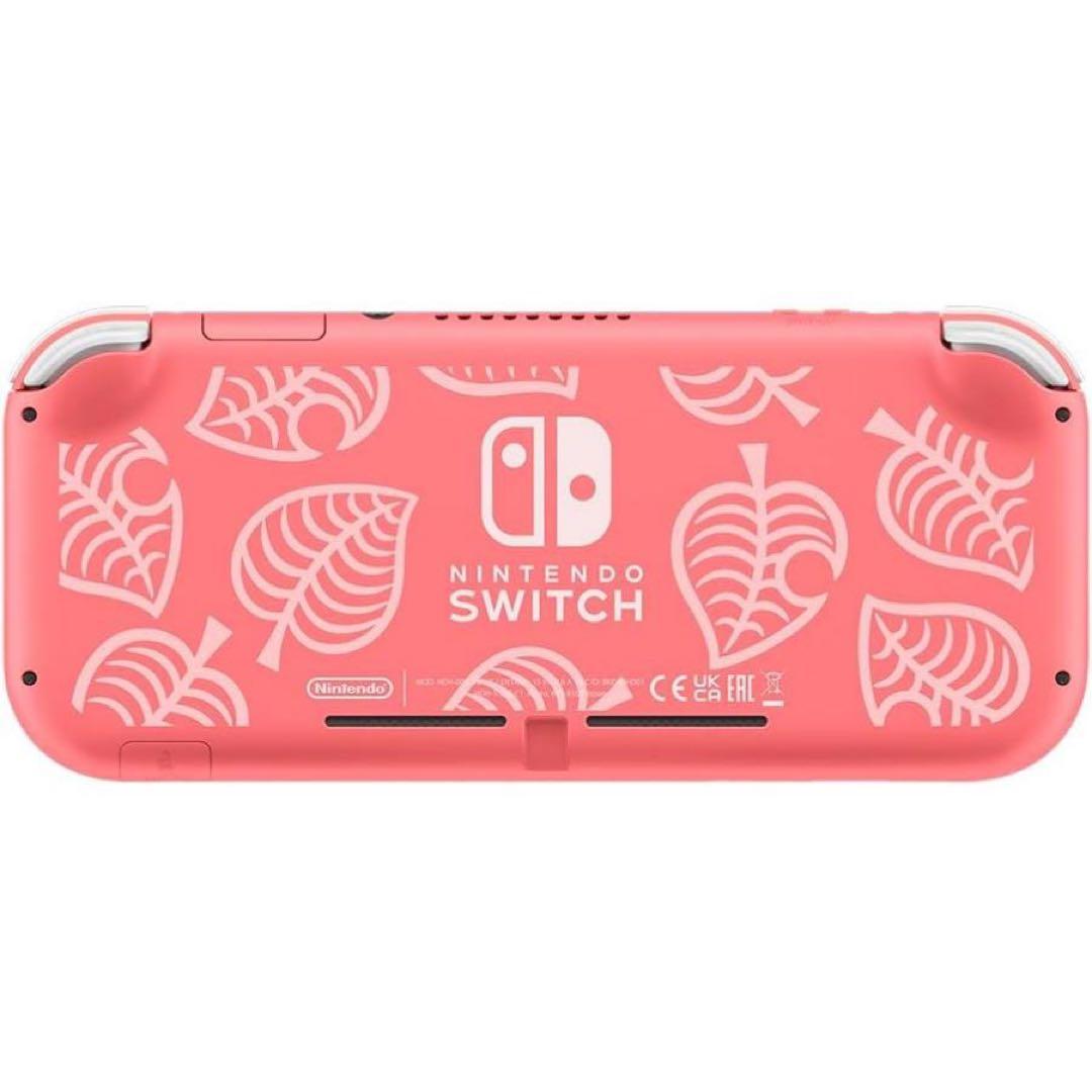 Nintendo Switch Lite (マリオブラザーズ・ワンダー付)