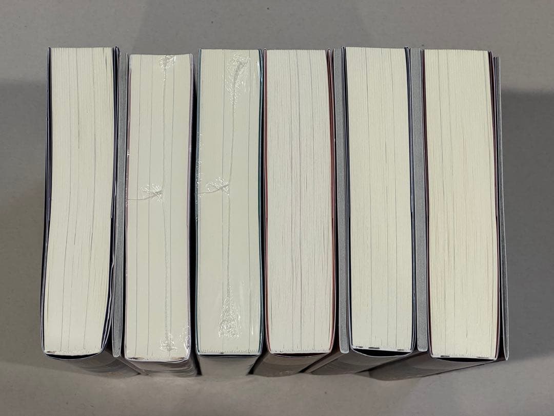 肉包不吃肉 日本語小説 【二哈和他的白猫師尊】