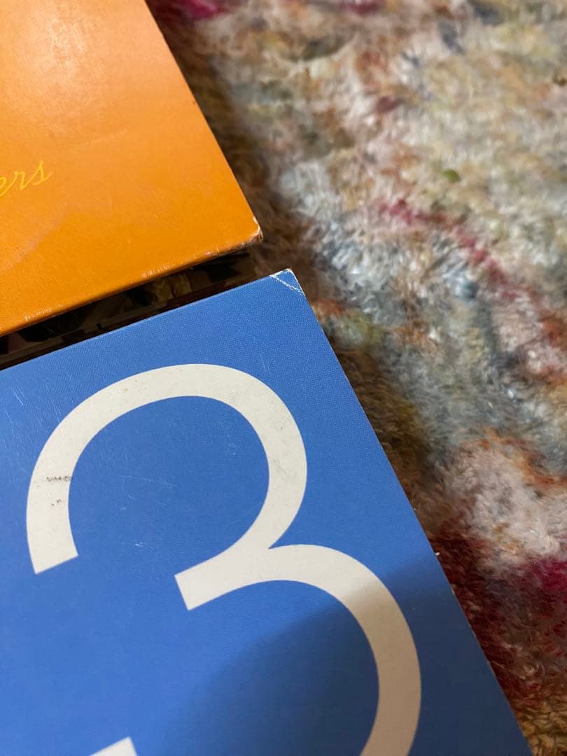 邦楽 SATELLITE LOVERS SONS OF 1973 & 1997