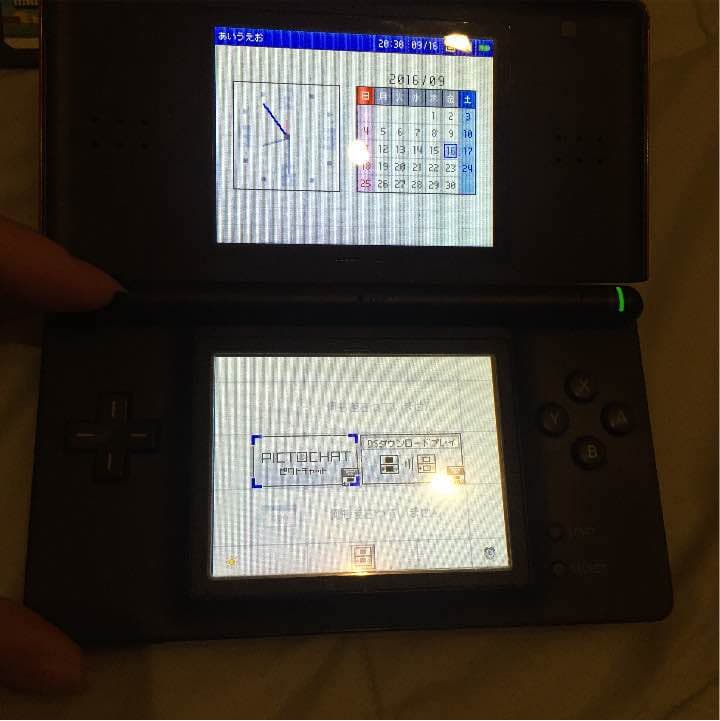 本体1300円 カセット13個 充電器付き DS lite