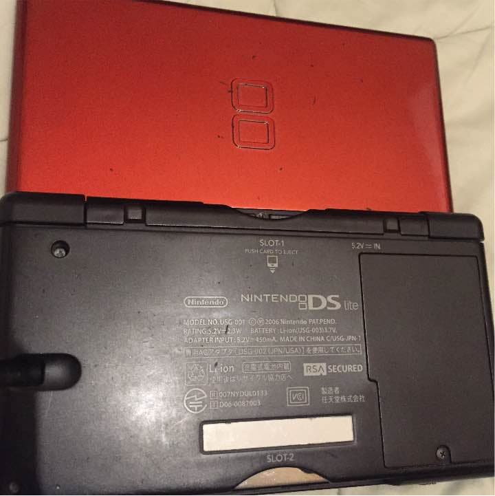 本体1300円 カセット13個 充電器付き DS lite