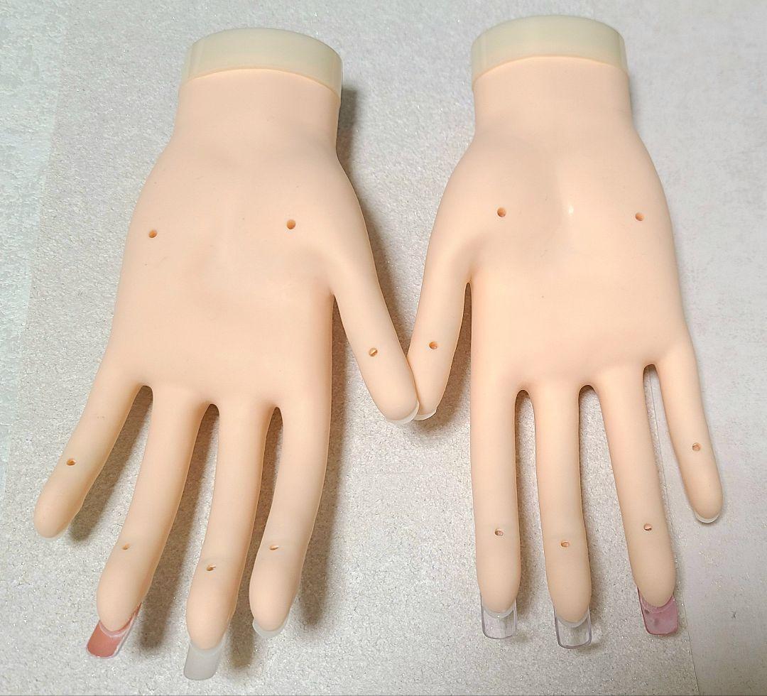 JNEC 認定モデルハンド 検定用ハンド