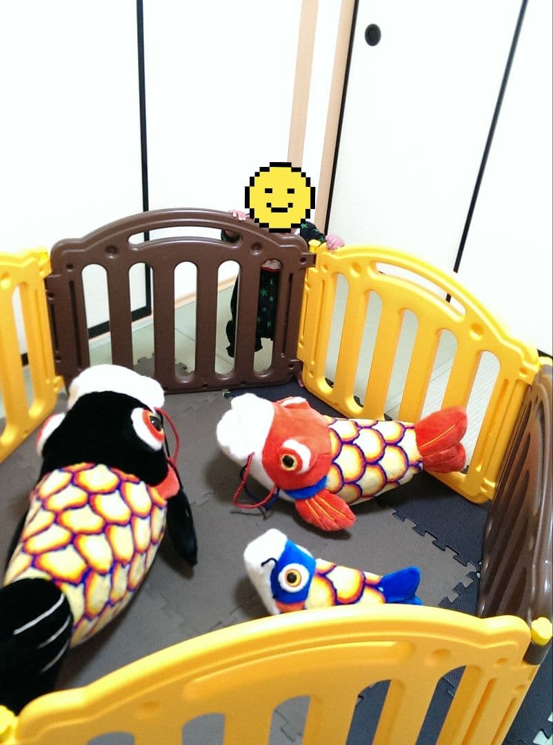 鯉のぼり 布製 こいあそびL,M,S