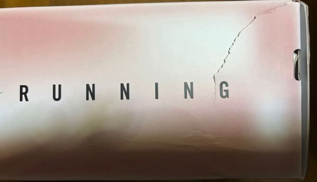 ナイキ ペガサス41 キプチョゲ NIKE Pegasus41 ek 27cm