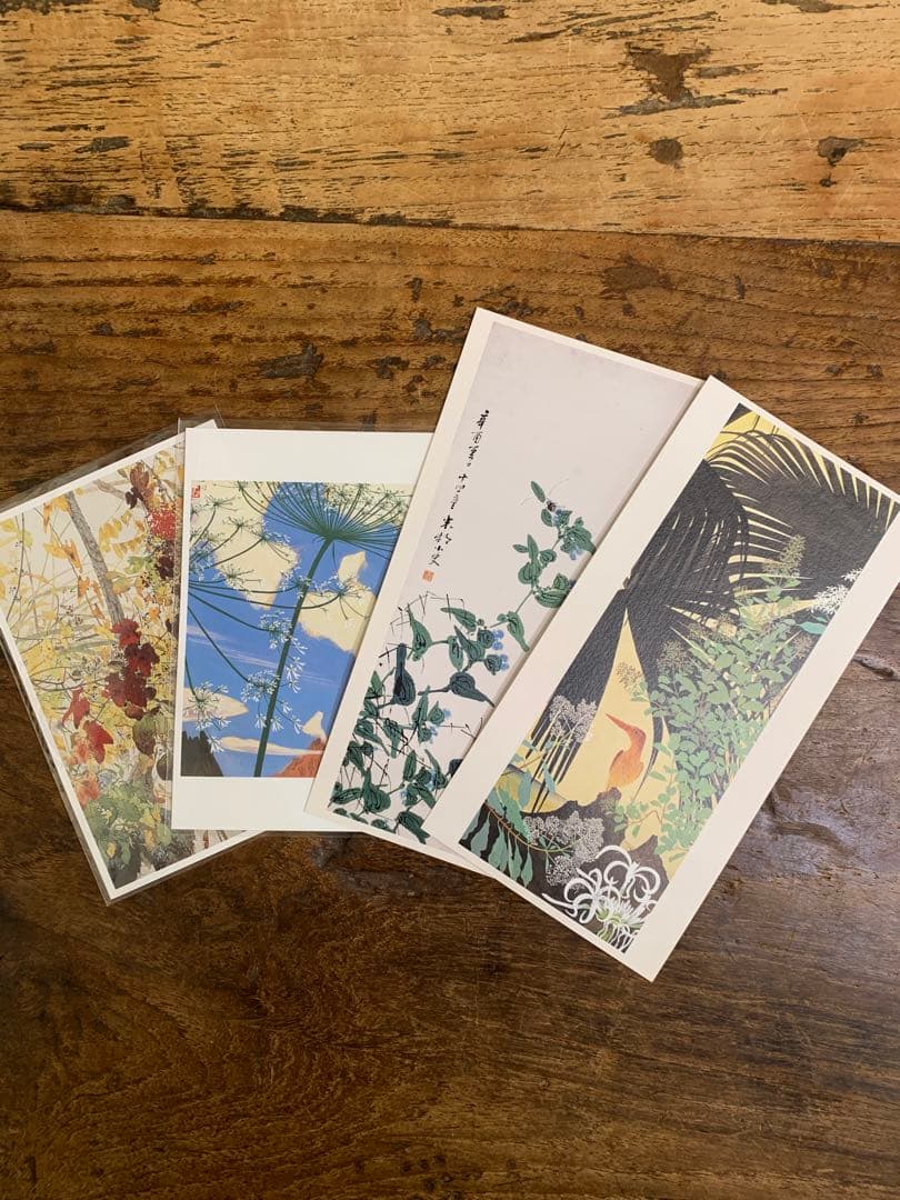 田中一村展　奄美の光 魂の絵画　公式図録とポストカード4枚とガイドパンフ3種