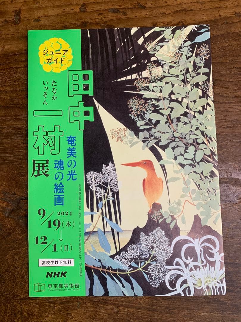 田中一村展　奄美の光 魂の絵画　公式図録とポストカード4枚とガイドパンフ3種