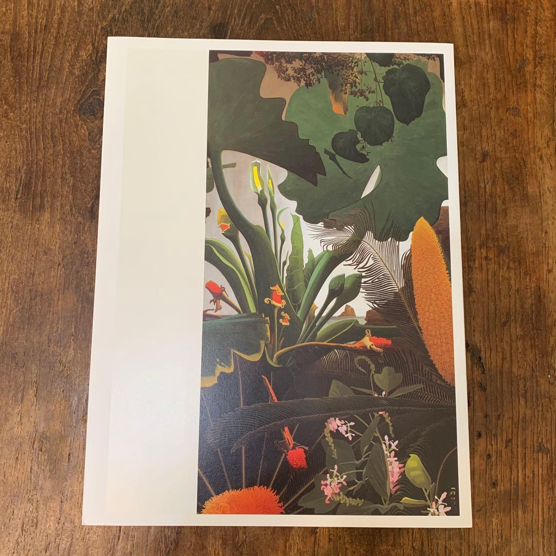 田中一村展　奄美の光 魂の絵画　公式図録とポストカード4枚とガイドパンフ3種