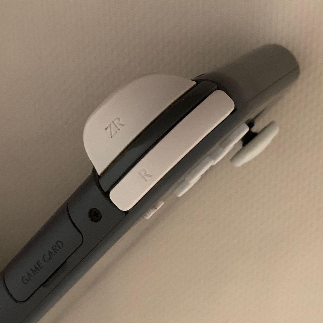 Nintendo Switch Lite グレー　本体 ACアダプター