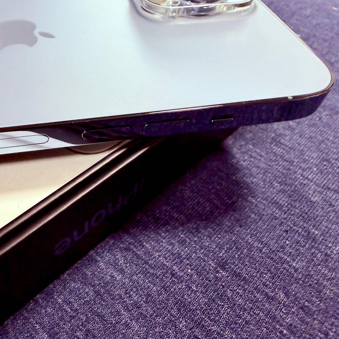 【付属品完備】iPhone13ProMax 256GB シエラブルー 美品