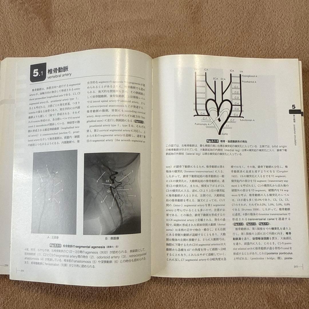 医学書　脳脊髄血管の機能解剖 増補版