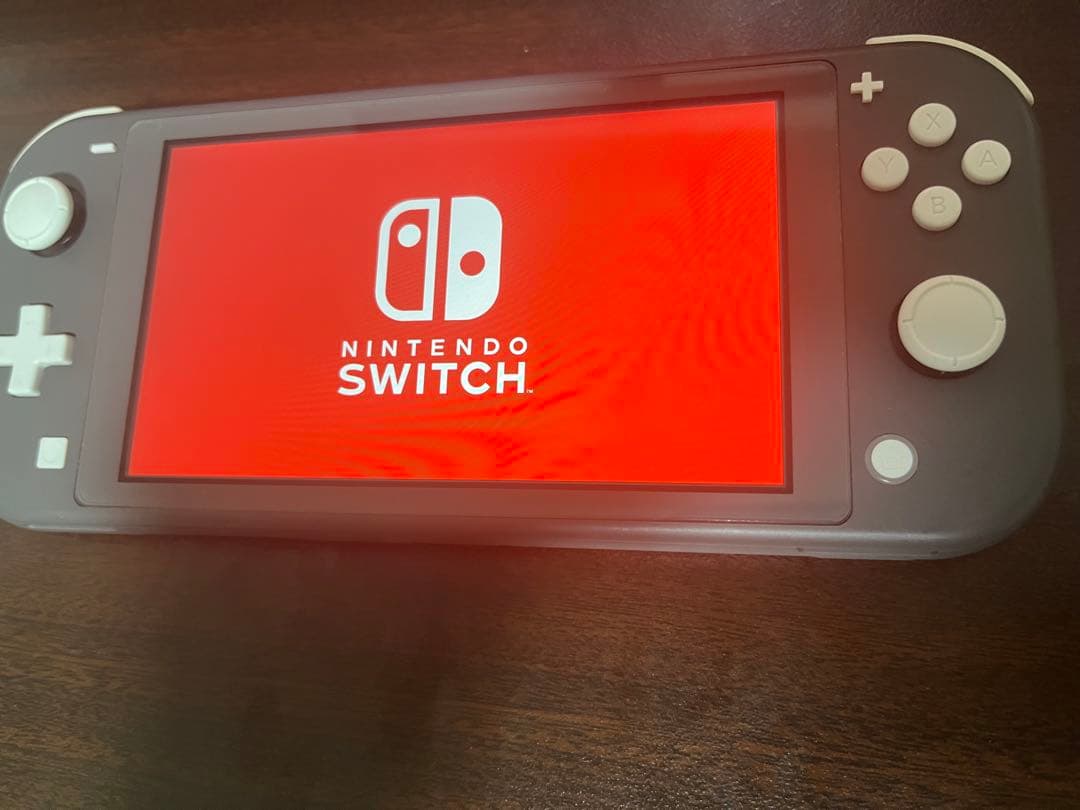 【ケース付き・充電器なし】Nintendo Switch Lite グレー
