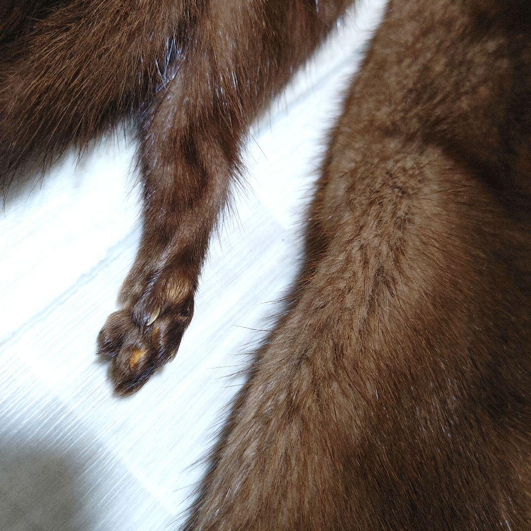 デミバフ ミンクファー ロングマフラー 足付き しっぽ付き フランス Paris