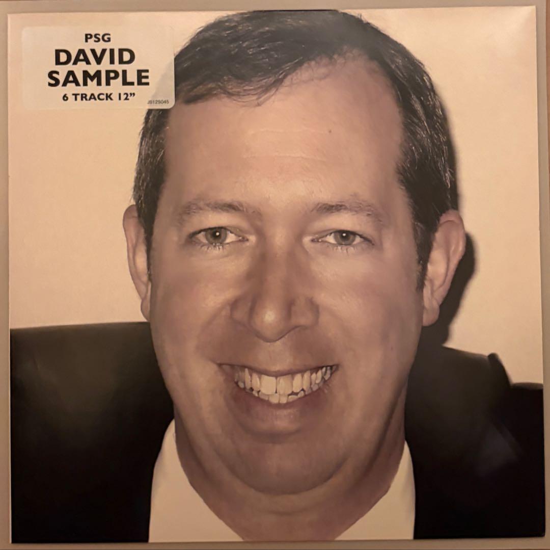 PSG David Sample 12inch レコード punpee