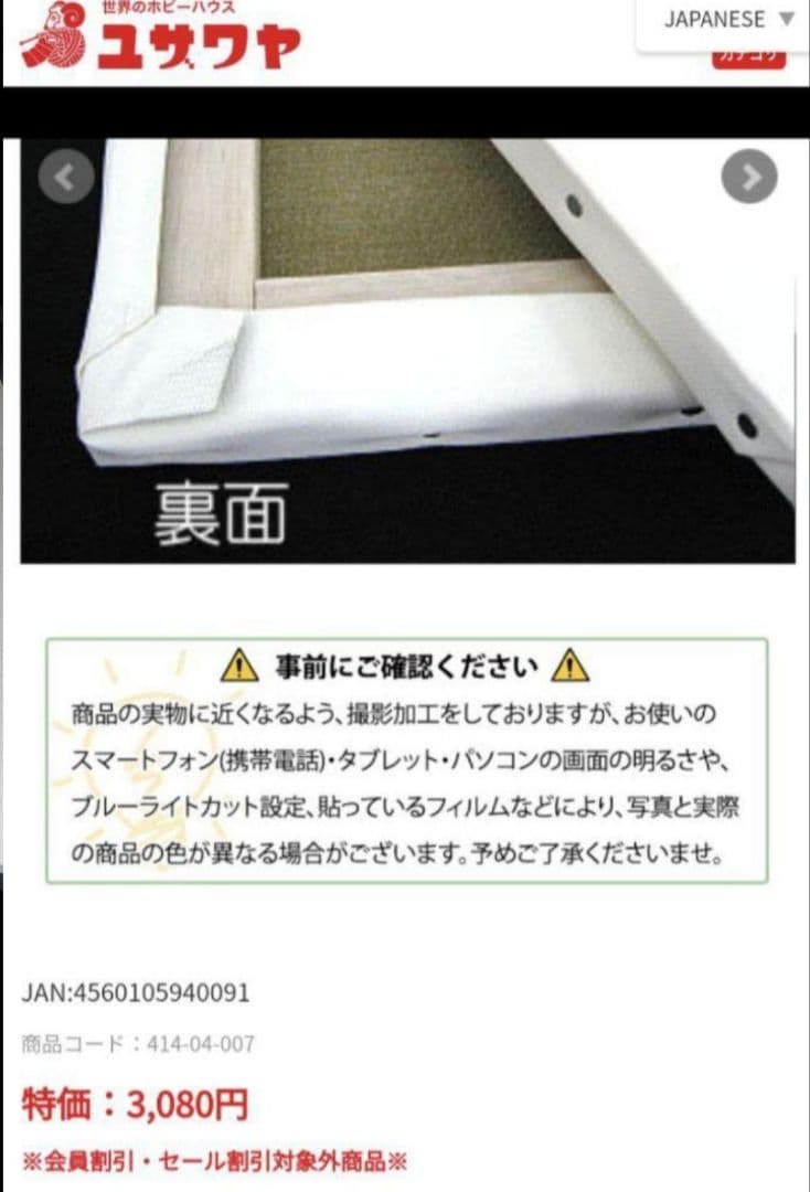 F15の中目 キャンバス 21枚 画材 画板 絵画