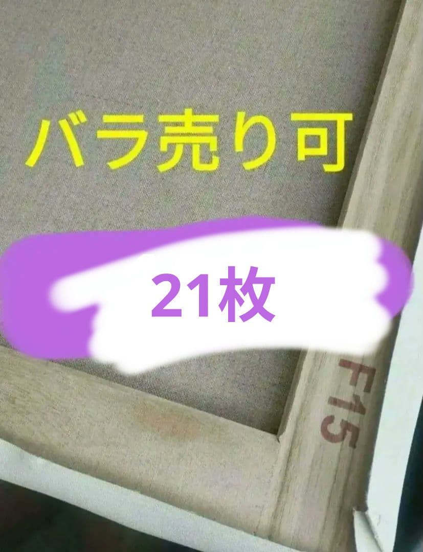 F15の中目 キャンバス 21枚 画材 画板 絵画