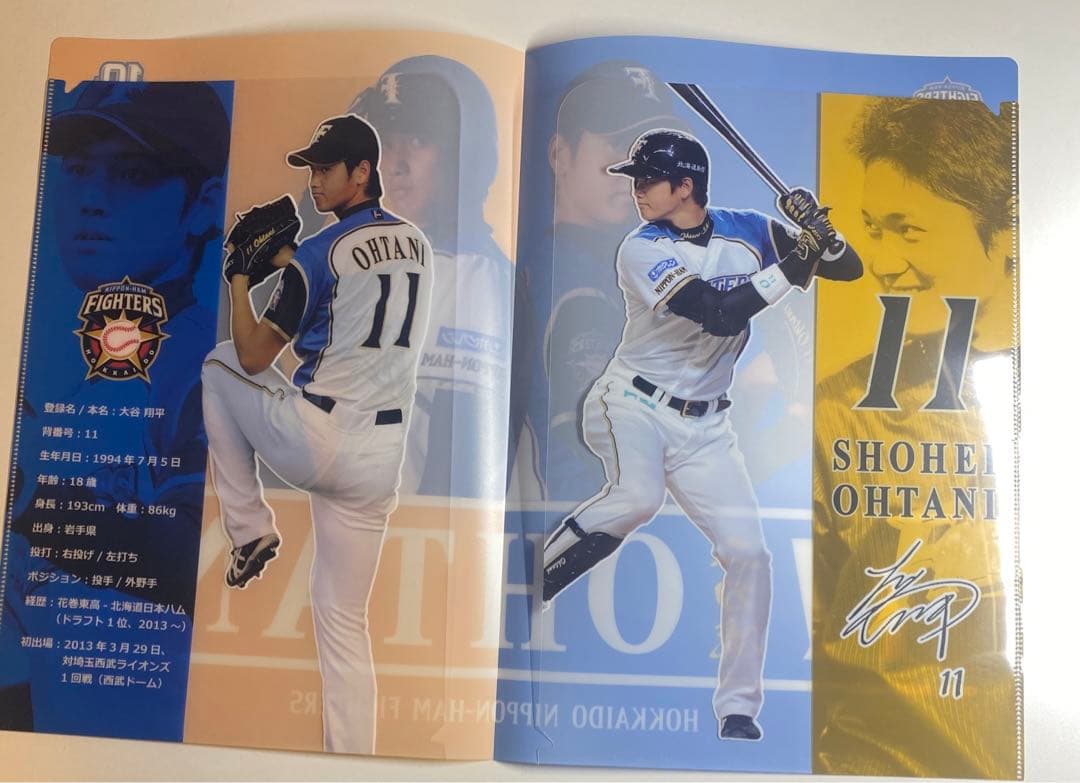 大谷翔平 プロ初登板試合 記念クリアファイル 観戦証明書