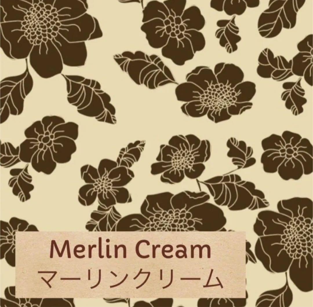 swell flower スウェルフラワー　旧　エコビッチ　花柄　ワンピース水着