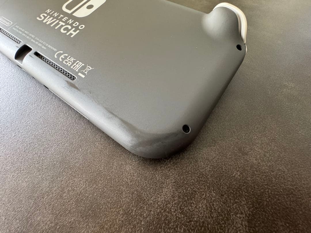 Nintendo Switch Lite グレー ケース付き