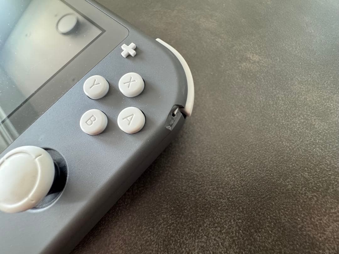 Nintendo Switch Lite グレー ケース付き