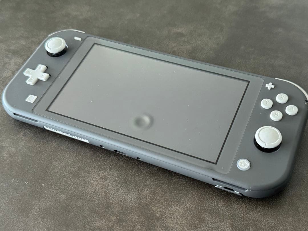 Nintendo Switch Lite グレー ケース付き