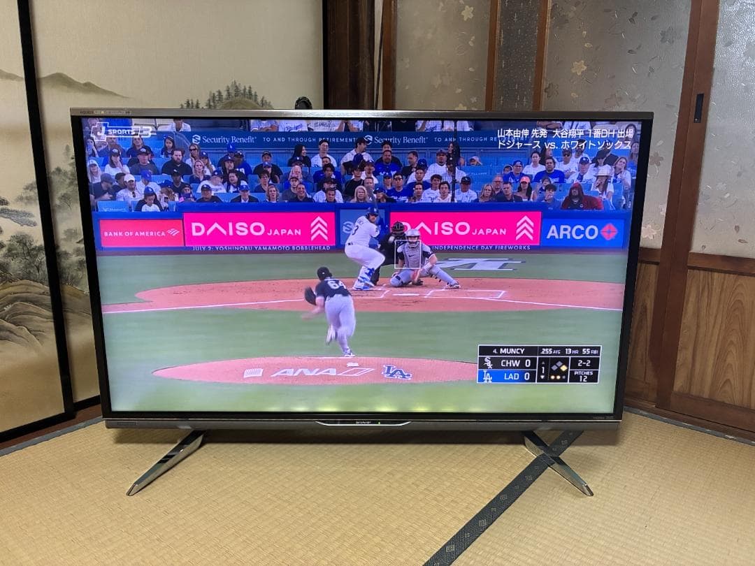 【Tka様】専用　SHARP AQUOS クアトロン プロ LC-46XL10