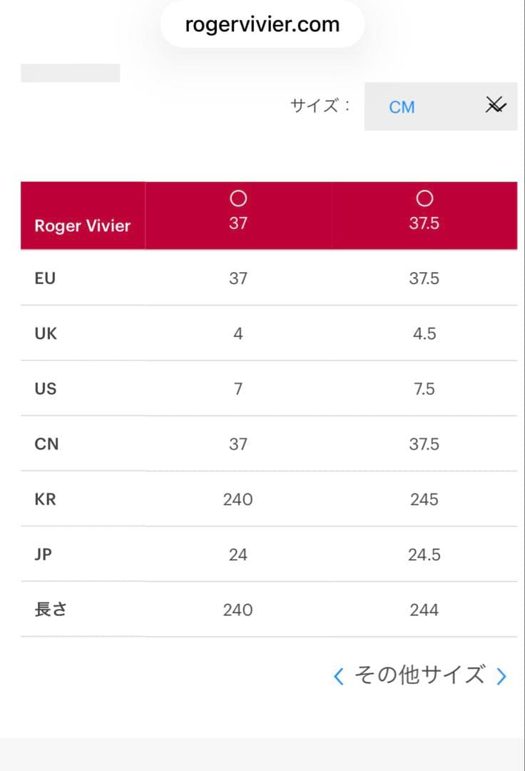 ROGER VIVIER スニーカー　24.5cm