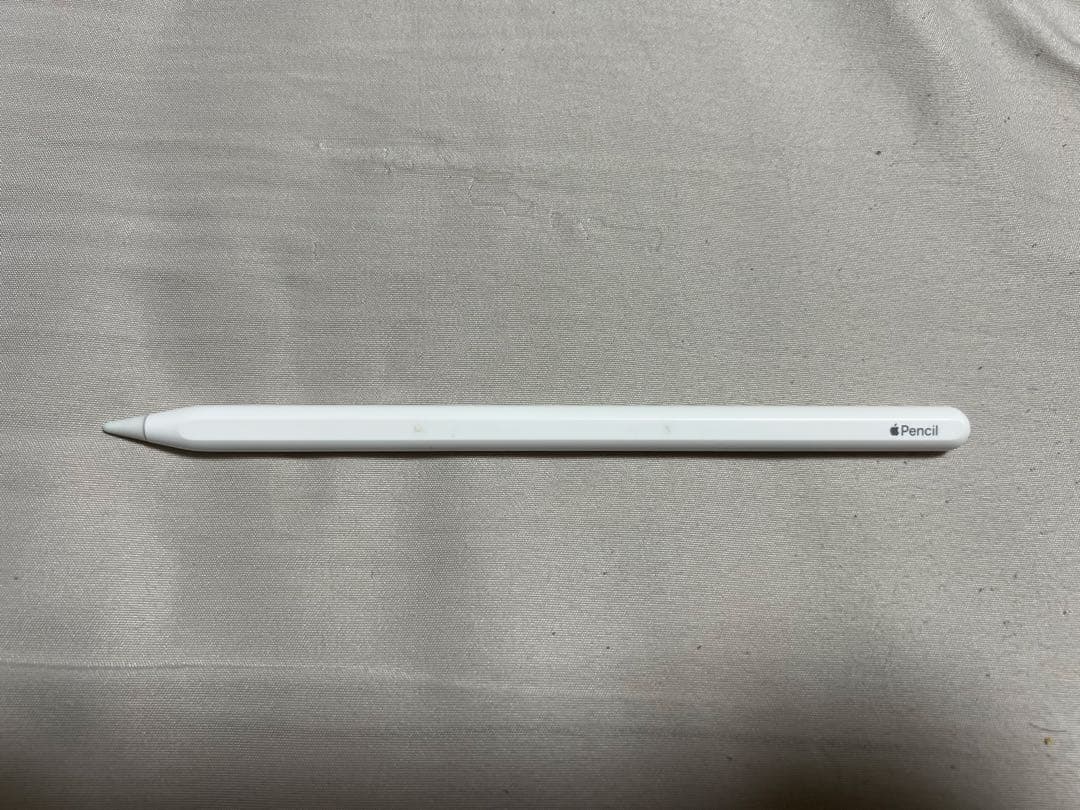 iPad Pro 11インチ 第二世代 128GB Wifi+Cellular