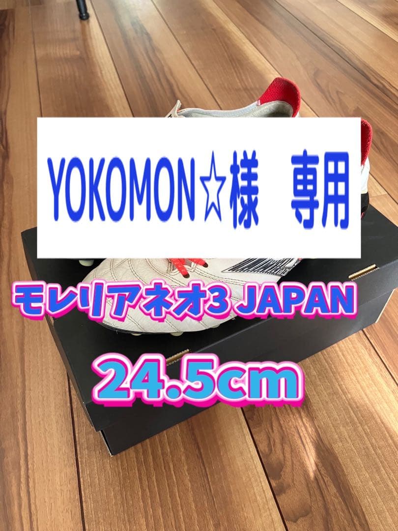 モレリアネオ Ⅲ JAPAN 24.5cm