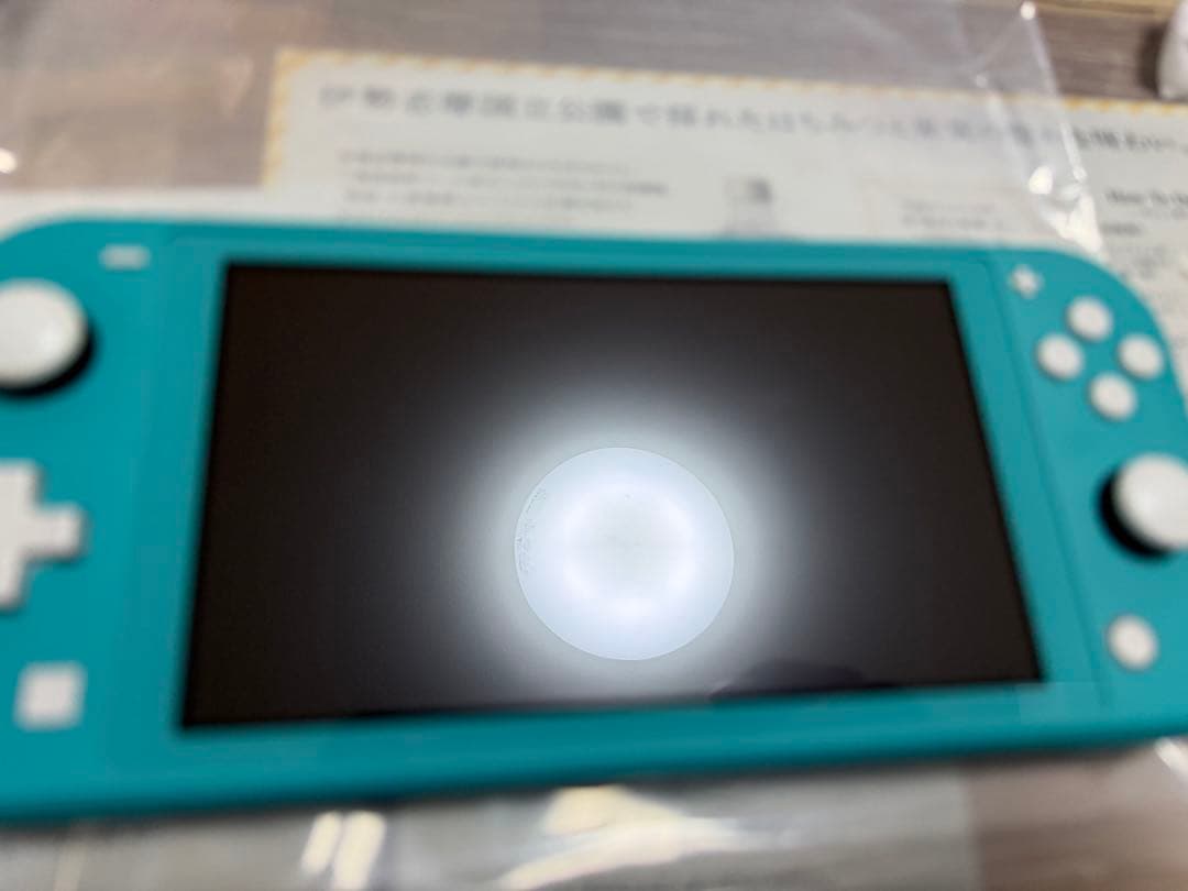 ね*ち様 Nintendo Switch light