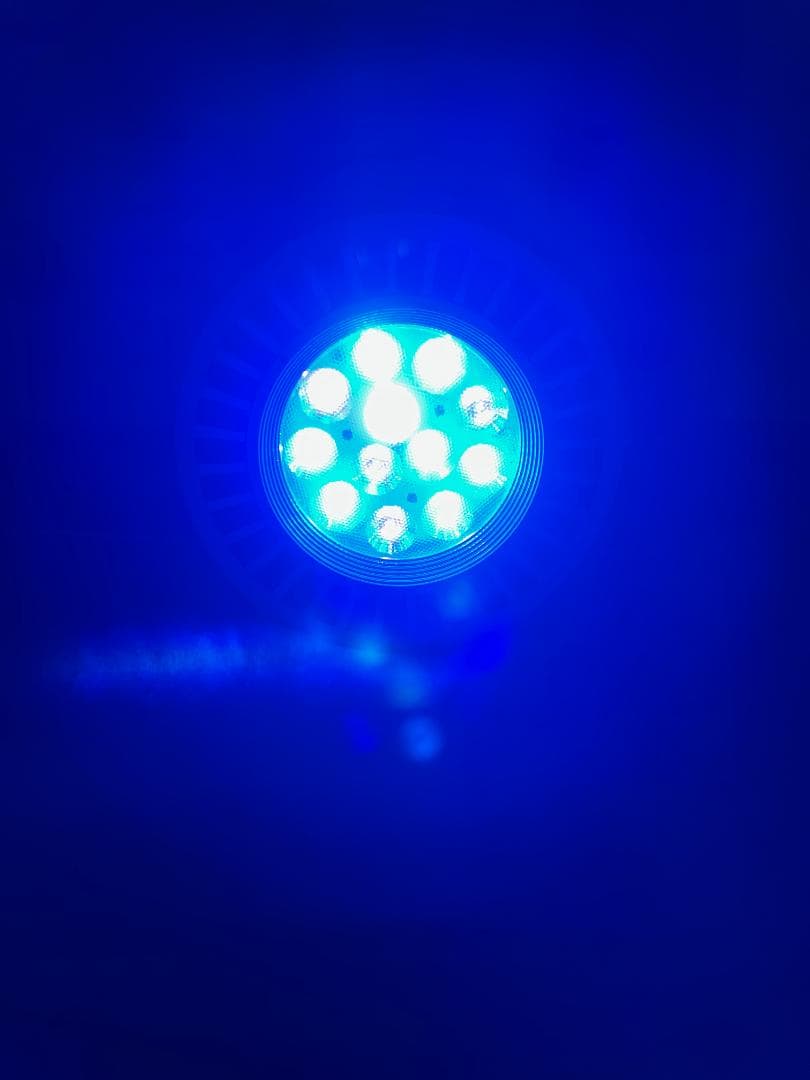 Grassy LeDio RX122CR ボルクスジャパン