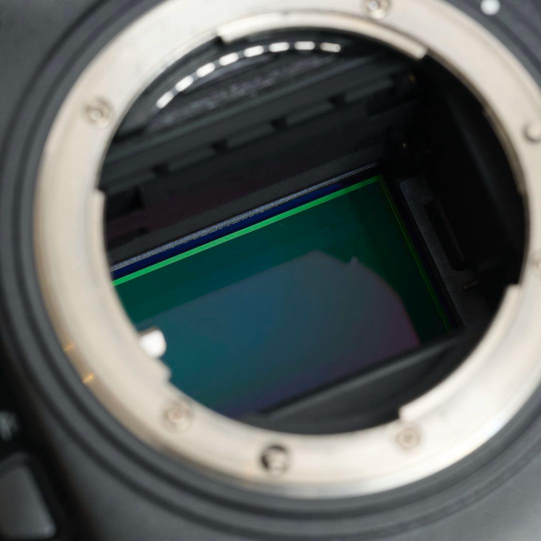 Nikon D800 一眼レフカメラ 本体