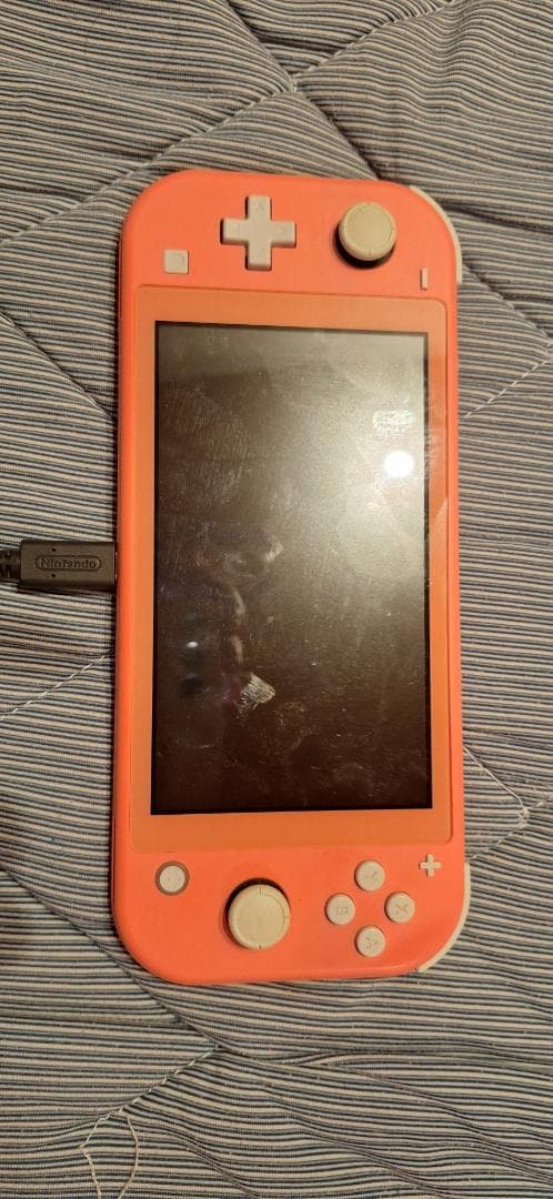 Nintendo Switch Lite ジャンクかも