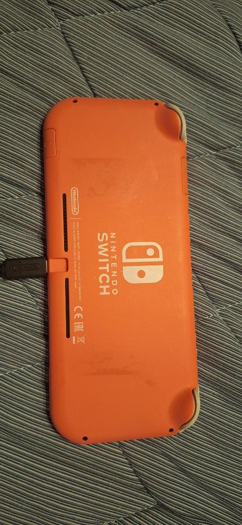 Nintendo Switch Lite ジャンクかも