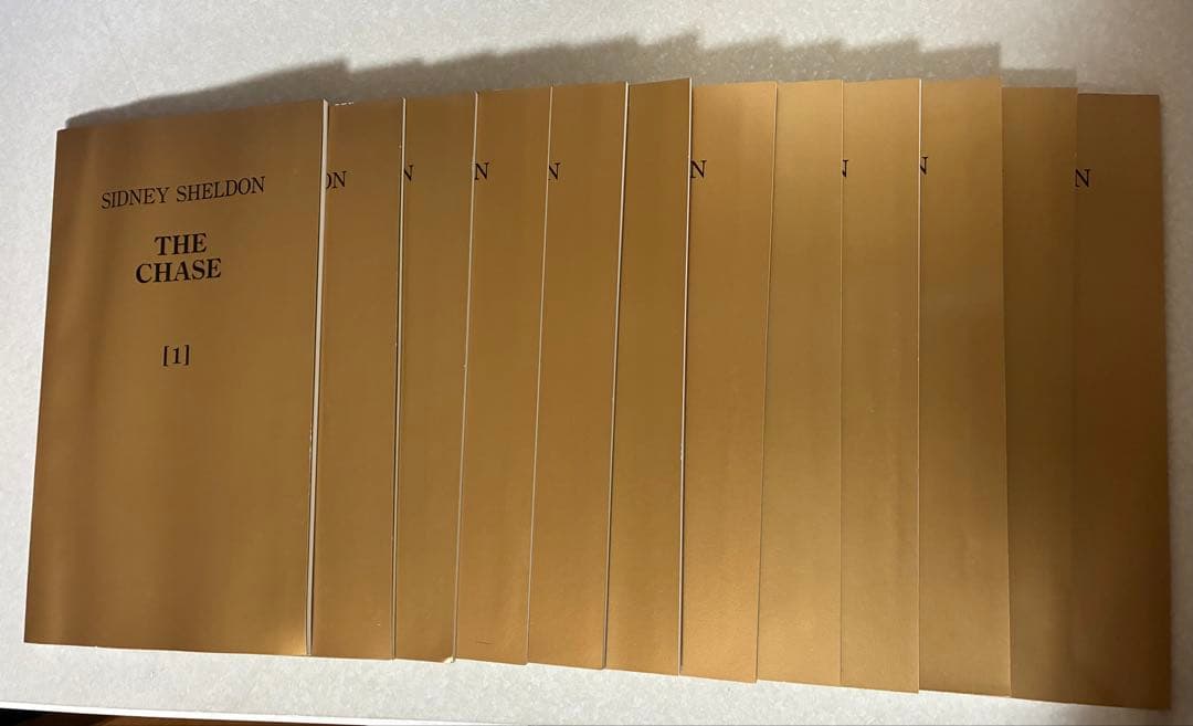 イングリッシュアドベンチャー　THE CHASE テキストCDセット