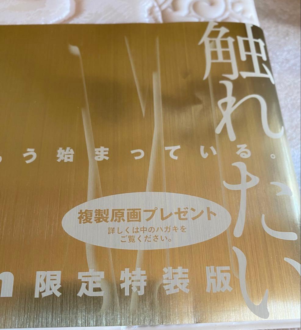 桂正和　M エム限定特装版　M複製原画　抽選プレゼント当選品