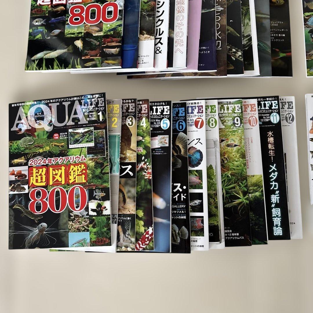 アクアライフ　2022〜2025