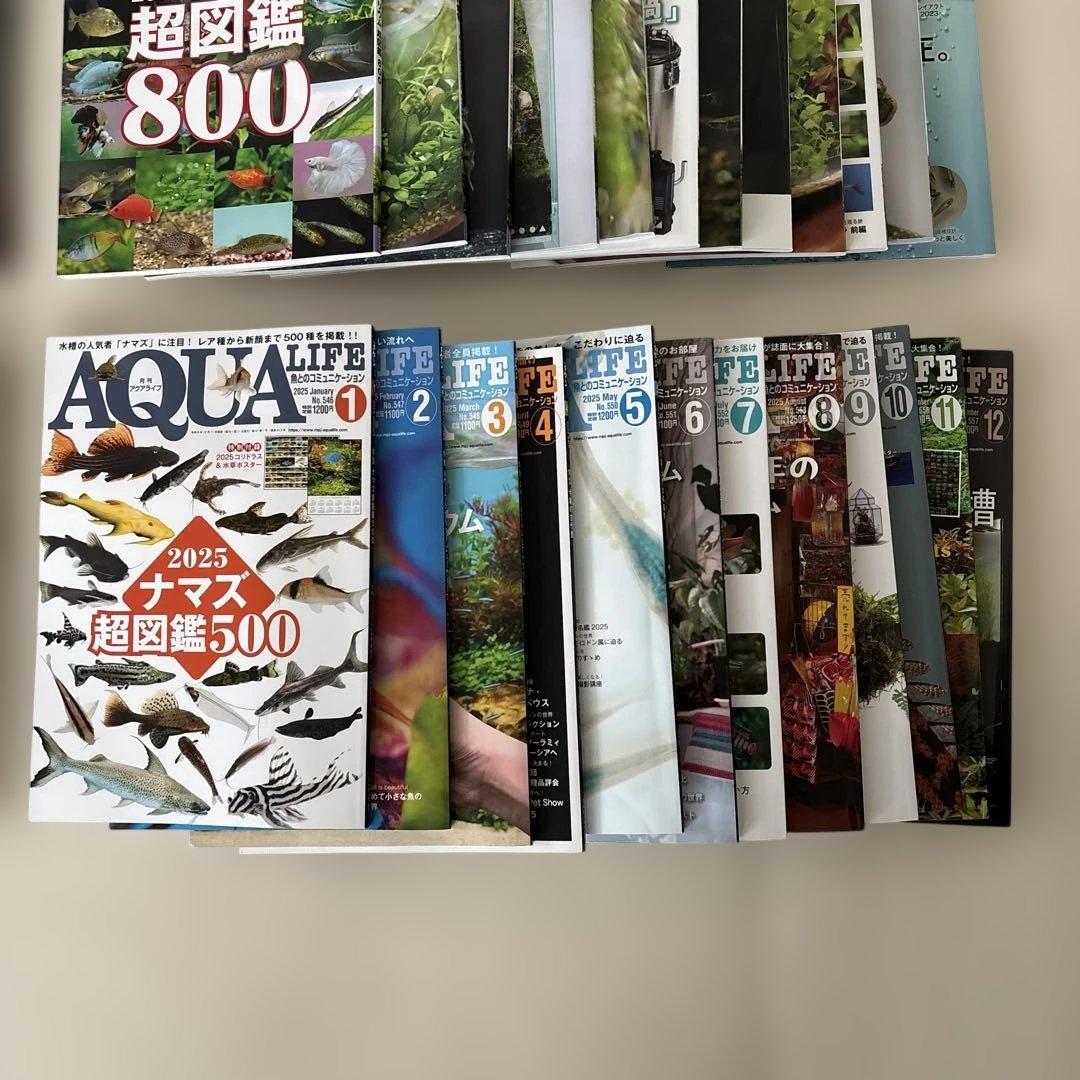 アクアライフ　2022〜2025