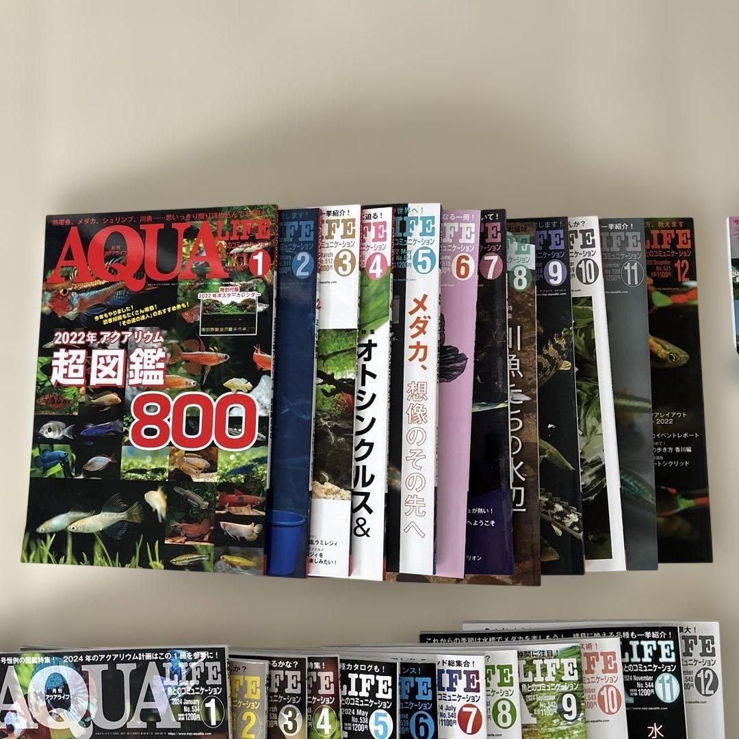 アクアライフ　2022〜2025