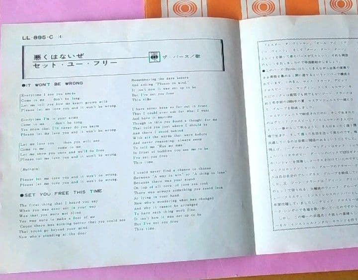 バーズ／悪くはないぜ　7incシングルレコード