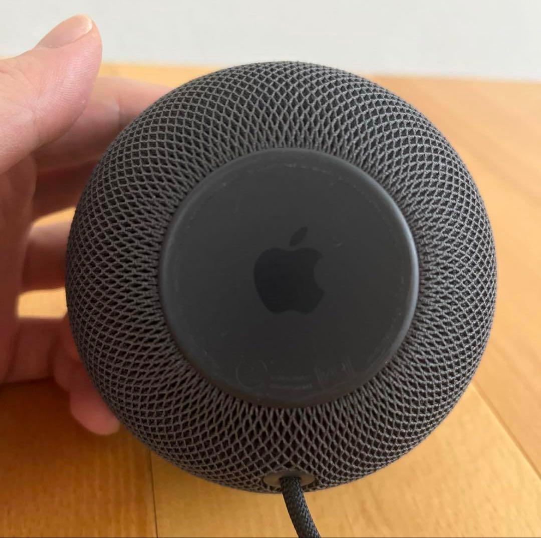 apple pod mini スペースブラック