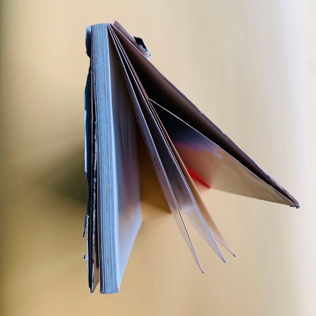 やなせ・たかし　メイ犬BON