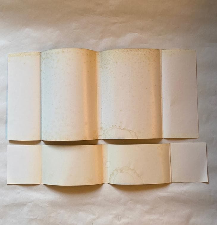 写真集 人間 赤尾敏/宮嶋茂樹