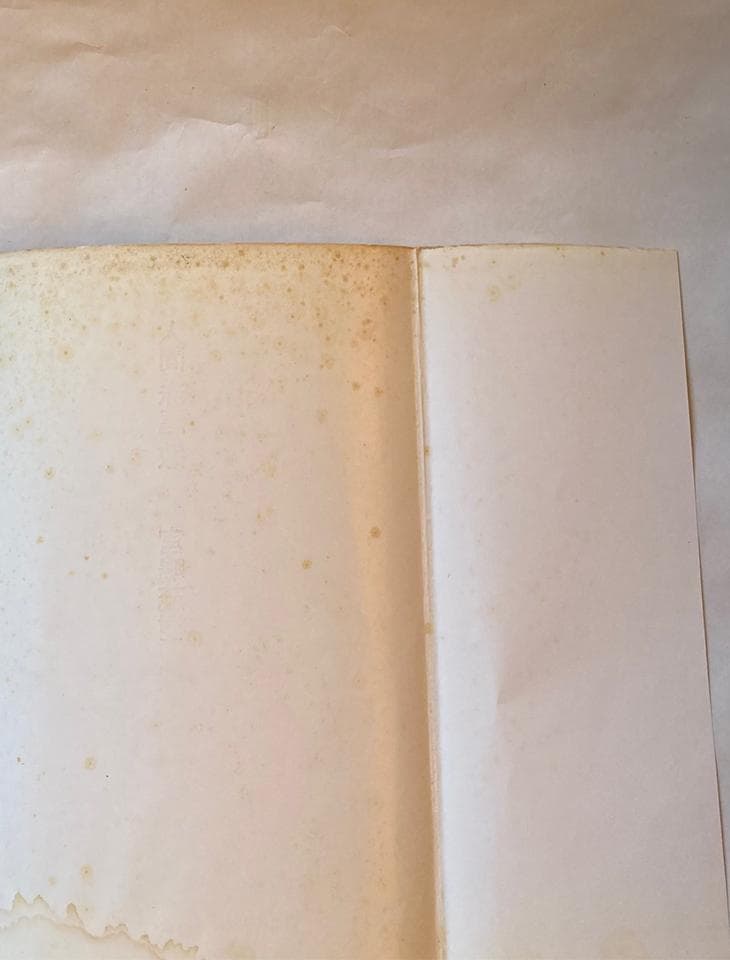 写真集 人間 赤尾敏/宮嶋茂樹