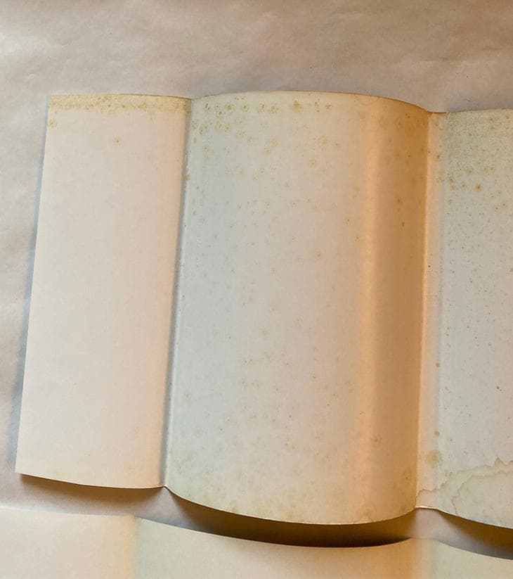 写真集 人間 赤尾敏/宮嶋茂樹