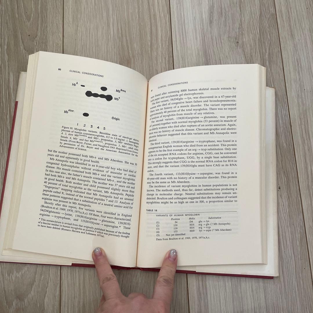 洋書 Myoglobin: Biochemical, Physiological