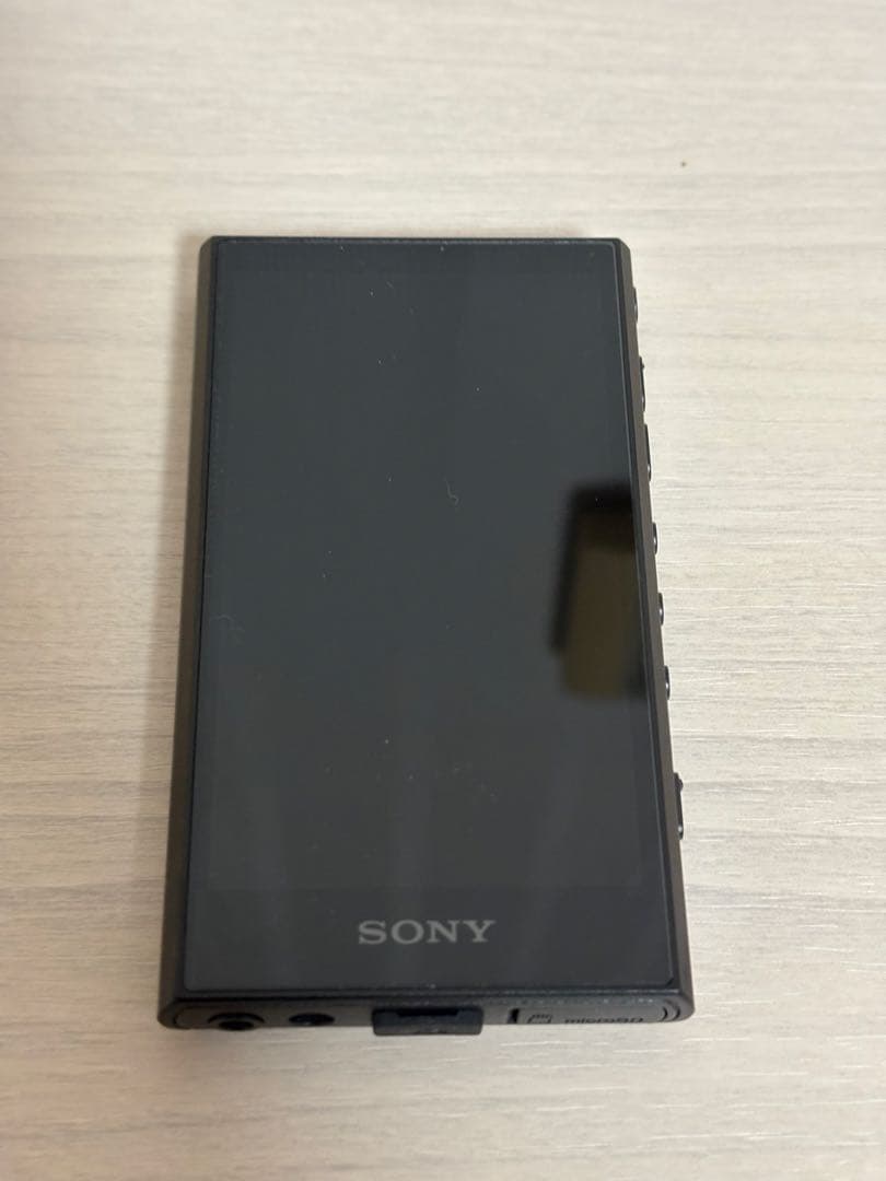 SONY ウォークマン NW-A306 純正ケース付き