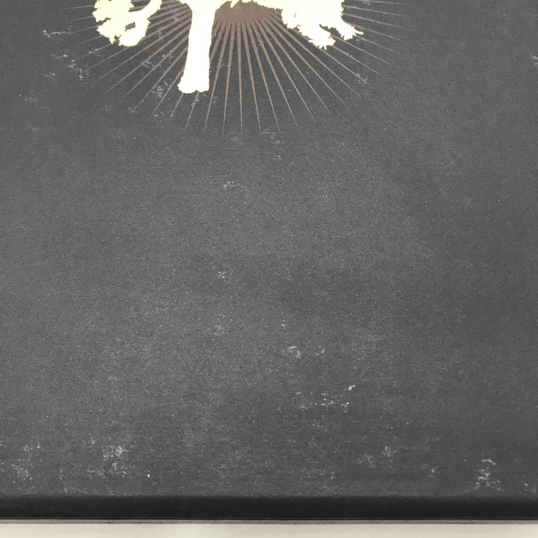 10▢U2 ヨシュア・トゥリー（30周年記念盤） IY0515-5